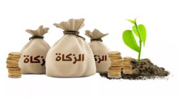 كم يبلغ نصاب الزكاة في الجزائر للعام الحالي 2024؟.. "وزارة الأوقاف الدينية" تحدد