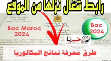 هـــذا رابط نتائج الباك 2024 سوريا حسب الاسم "شهادة الثانوية” خــــلال موقع وزارة التربية moed.gov.sy/site