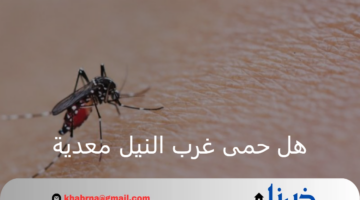 بعد تسجيل أول إصابة في الأردن.. هل حمى غرب النيل معدية؟ وما هي الأعراض