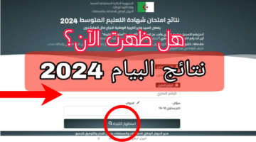 هُنـــا موقع كشف النقاط شهادة التعليم المتوسط 2024 موقع البيام bem onec dz
