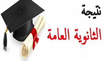 "مبروك للناجحين".. الاستعلام عن نتيجة الثانوية العامة 2024 بالاسم بكل سهولة