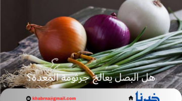 هل أسرار البصل في علاج جرثومة المعدة.. حقيقة أم خيال؟
