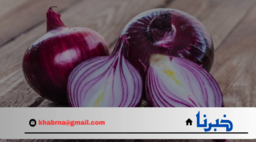 هل تعلم ما يخفيه البصل في داخله؟.. أسرار ستغير نظرتك إليه