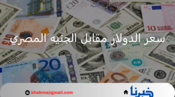 تحديث يومي.. سعر الدولار مقابل الجنيه المصري اليوم الخميس 8 أغسطس 2024