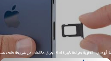 محكمة أبوظبي ..العقوبة بغرامة كبيرة لفتاة تجري مكالمات من شريحة هاتف مسروقة