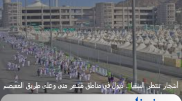 أشجار تنتظر السقيا .. ذبول في مناطق مشعر منى وعلى طريق المعيصم