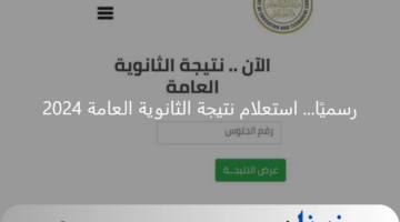 رسميًا... استعلام نتيجة الثانوية العامة 2024 برقم الجلوس نتيجة نت فور اعتمادها من وزارة التعليم