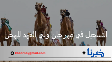 التسجيل في مهرجان ولي العهد للهجن يبدأ اليوم السبت حتى 30 أغسطس
