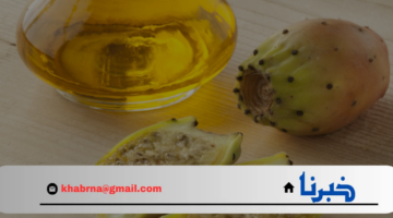 "من الترطيب إلى مكافحة الشيخوخة".. اكتشف فوائد زيت التين الشوكي