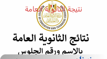 فور ظهورها.. الرابط الرسمي لـ موقع وزارة التربية والتعليم استعلام عن نتيجة الثانوية العامة بالاسم 2024