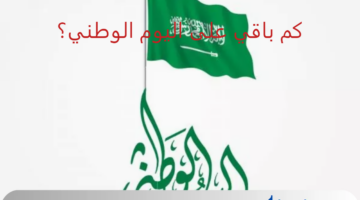 كم باقي على اليوم الوطني 94؟.. موعد اجازة الطلاب هذا العام وعدد أيامها 1446