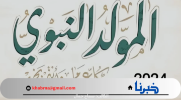 تزامنًا مع اقتراب المولد النبوي الشريف 2024 .. تعرف على أسعار حلوى المولد النبوي 