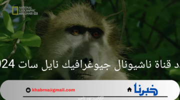 "اضبطها الآن".. تردد قناة ناشيونال جيوغرافيك نايل سات 2024