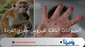 أشهرها القوارض.. تعرف على الحيوانات الناقلة لفيروس جدري القردة وأسباب انتشار الفيروس