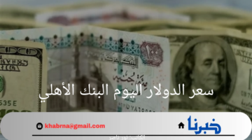 "ثبات ملحوظ".. سعر الدولار الأمريكي اليوم السبت في البنك الأهلي 2024