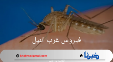 ما هو فيروس غرب النيل الذي أثار الجدل في الفترات الاخيرة؟