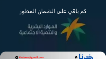 كم باقي على الضمان المطور شهر سبتمبر 2024؟.. خطوات الاستعلام عن أهلية الدورة 33