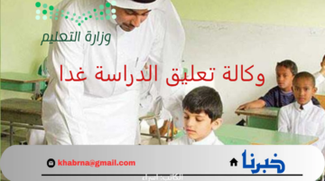 في هذه المحافظات.. وكالة تعليق الدراسة غدا تعلن تحويل الدراسة عن بعد يوم الأربعاء 28 أغسطس 2024 