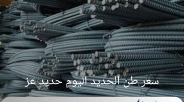 انحفاض ملحوظ في سعر طن الحديد اليوم حديد عز 2024