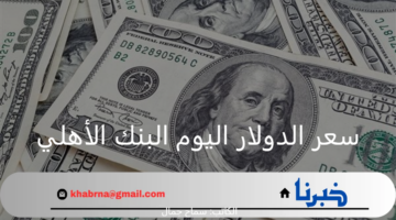تحديث يومي جديد .. سعر الدولار اليوم البنك الأهلي وفق أخر تحديث والبنوك المصرية