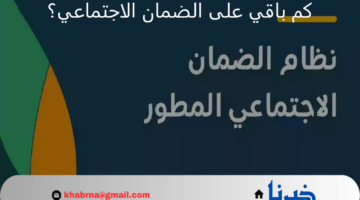 كم باقي على الضمان الاجتماعي المطور دفعة شهر سبتمبر؟.. "الموارد البشرية" تحدد تاريخ إيداع الدعم