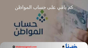 كم باقي على حساب المواطن الدفعة 82 شهر سبتمبر 2024؟.. تاريخ إيداع الدعم للمؤهلين