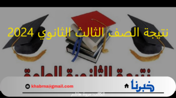 الثانوية العامة: نتيجة الصف الثالث الثانوي 2024 باسم الطالب ورقم جلوسه عبر moe.gov.eg