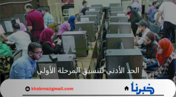 تنسيق الثانوية العامة 2024... وزارة التعليم العالي تعلن الحد الأدني لتنسيق المرحلة الأولي