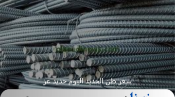 955 جنية زيادة فى سعر طن الحديد اليوم حديد عز الخميس 29 أغسطس