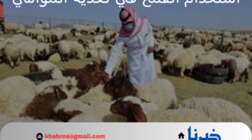 "وزارة البيئة والمياه والزراعة" تعلن ضبط 6.8 أطنان من القمح تستخدم في تغذية المواشي
