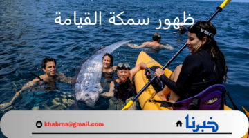 هل ظهور سمكة القيامة نذير شؤم؟ وما علاقتها بالكوارث؟ علماء البحار يجيبون