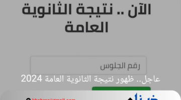 عاجل.. ظهور نتيجة الثانوية العامة 2024 أدخل وتحقق من نتيجتك عبر رابط وزارة التربية والتعليم