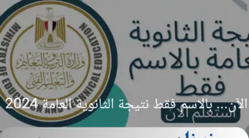 الآن... إعلان نتيجة الثانوية العامة 2024 جميع محافظات مصر برقم الجلوس