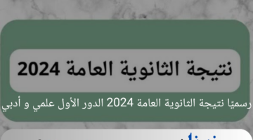 مبروك للناجحين.. رسميًا نتيجة الثانوية العامة 2024 الدور الأول علمي وأدبي ولينك الحصول عليها بالاسم ورقم الجلوس