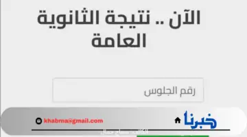 نتيجة الثانوية العامة 2024 اليوم السابع .. وزارة التربية والتعليم تكشف عن نسب النجاح في عدة مواد