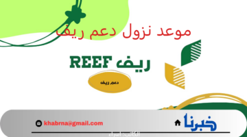 "وزارة البيئة" توضح موعد نزول دعم ريف دفعة شهر اغسطس 2024