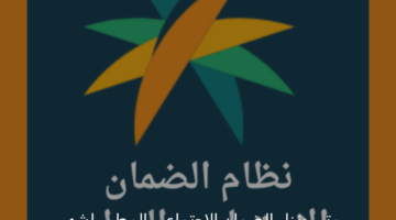 متي ينزل الضمان الاجتماعي المطور لشهر سبتمبر 2024 وطريقة الاستعلام عن الأهلية