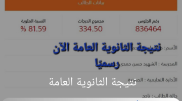 "باسم الطالب "رابط فعال وسريع لنتيجة الثانوية العامة في مصر 2024 "علمي-أدبي" بالدرجات التفصيلية لكل مادة 
