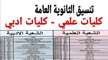 ترقبوا.. نتيجة تنسيق المرحلة الأولى للثانوية العامة 2024 وتوقعات بارتفاع الحد الأدنى 2% عن العام الماضي