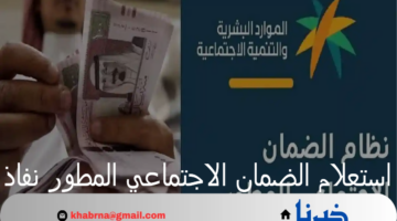 "الموارد البشرية" تعلن عن رابط استعلام الضمان الاجتماعي المطور نفاذ 1446
