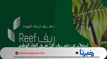البيئة والزراعة توضح خطوات استعلام عن دعم ريف عن طريق النفاذ الوطني الموحد
