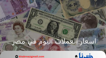 بعد تخطي الدولار حاجز 49 جنيه.. اسعار العملات اليوم في مصر في البنك المركزي 8 أغسطس 2024
