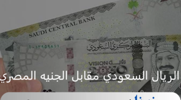 سعر الريال السعودي مقابل الجنيه المصري اليوم الثلاثاء 27 اغسطس 2024