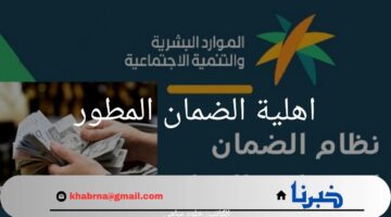 "مؤهل أم لا ".. وزارة الموارد البشرية توضح خطوات الاستعلام عن اهلية الضمان المطور
