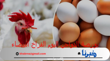 بورصة الدواجن اليوم الفراخ البيضاء.. أسعار الفراخ والبيض اليوم الاثنين 5 أغسطس 2024