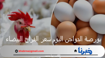 بورصة الدواجن اليوم سعر الفراخ البيضاء والبيض السبت 10 أغسطس 2024 بالأسواق