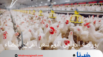 بورصة الدواجن اليوم سعر الفراخ البيضاء والبيض الجمعة 16 أغسطس 2024 بالأسواق