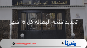 رابط تجديد منحة البطالة كل 6 أشهر وأهم الشروط المطلوبة عبر الوكالة الوطنية للتشغيل