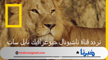 "استكشف عالم الطبيعة والحيوان".. تردد قناة ناشيونال جيوغرافيك نايل سات 2024