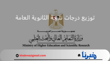 وزارة التربية والتعليم المصرية.. تعلن عن توزيع درجات نتيجة الثانوية العامة 2024
